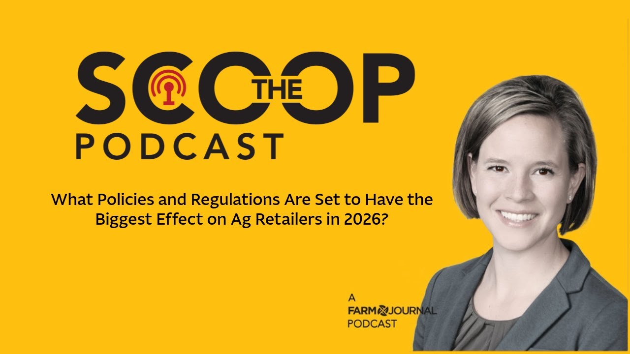 Подкаст The Scoop: Какие политические меры и правила окажут наибольшее влияние на розничных прода...