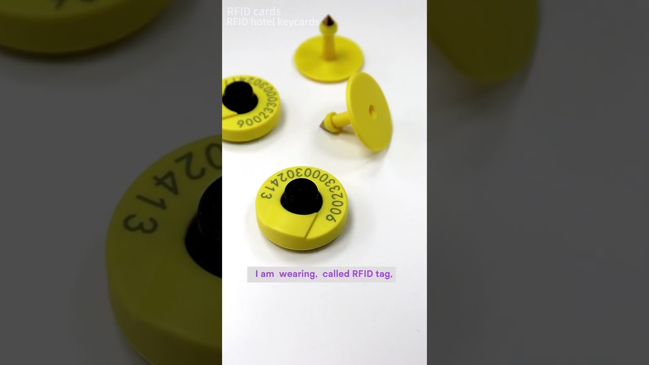 RFID animal tag | To help finding lost pets #nfc #rfid #pets #animals #rfidtag #animalprotection