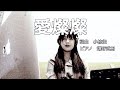 愛燦燦 (美空ひばり cover.) THE FIRST TAKE