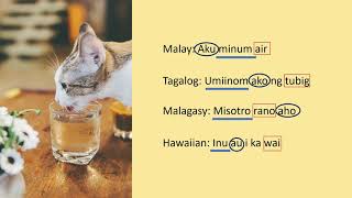 Why do Polynesians say "wai' / "vai", Malays say "air" and some Filipinos say "tubig"?