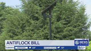 Rep. Tim Burchett proposed anti-Flock bill