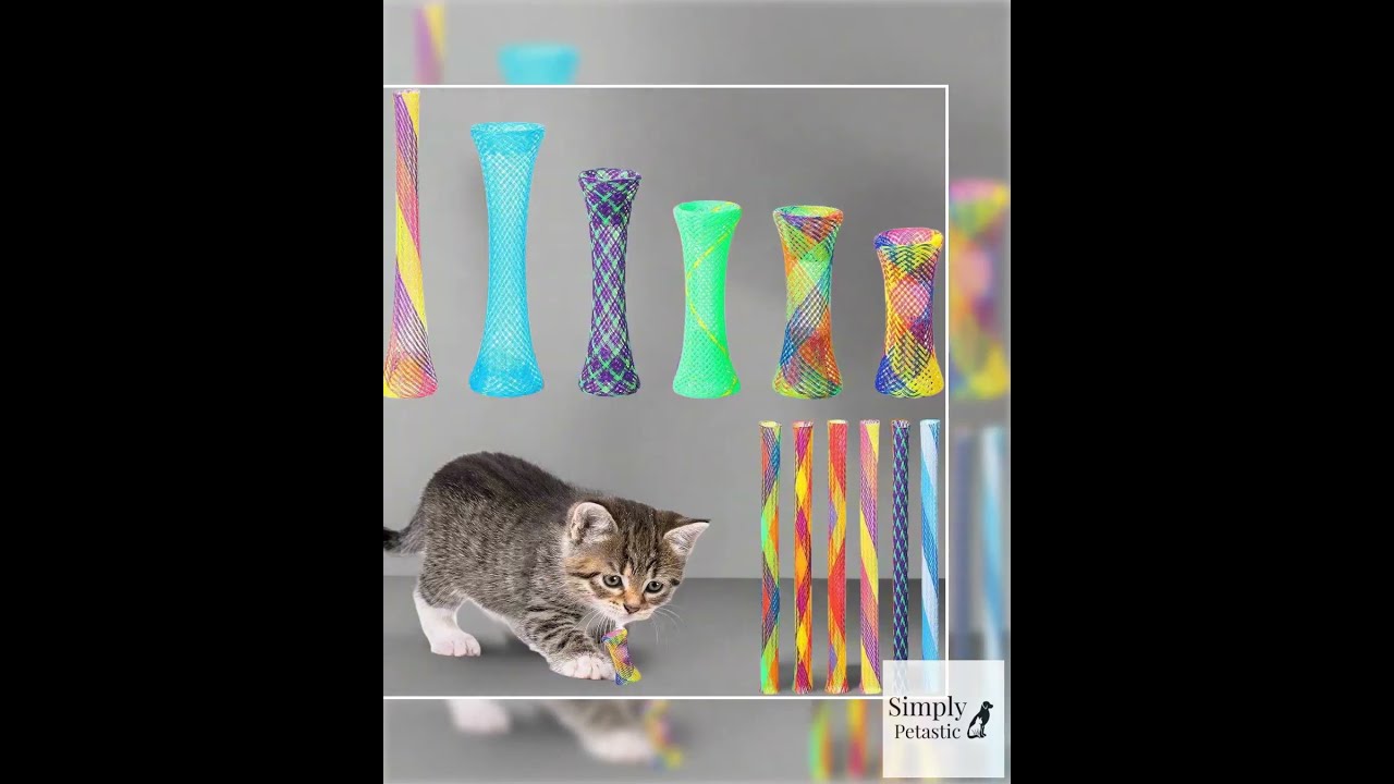 Colorful Cat Spring Toys For Interactive Play 60pc