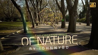 After Effects Template - The Creative mind of Nature