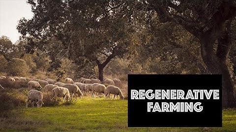 Regenerative Farming | Integrated Cropping & Livestock