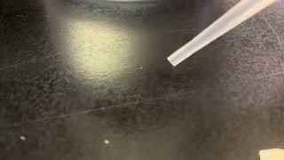 Molecules in Motion Lab #1