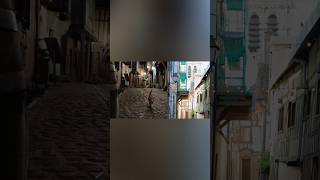 Visionnez Troyes Vision Jour Nuit#troyes #troyes #grandest