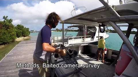 REU at BIOS - Species Distribution Model:  The Validation