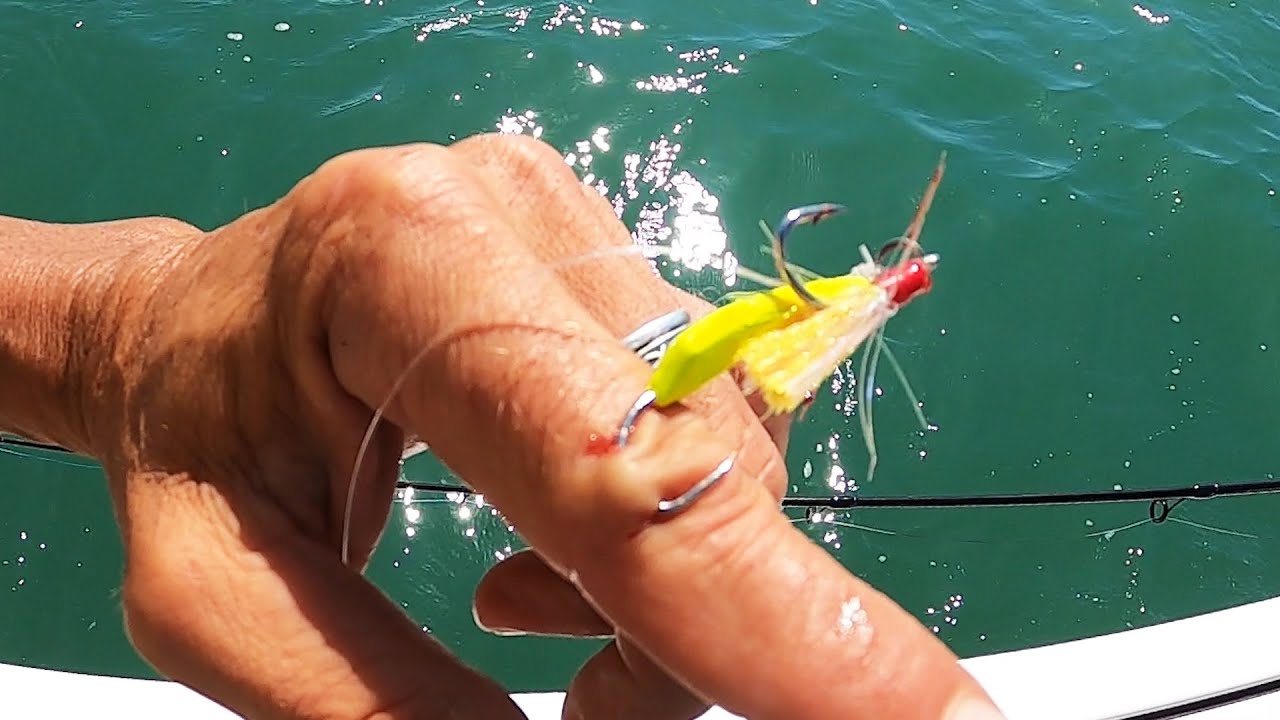 bluefish taste bluefish taste