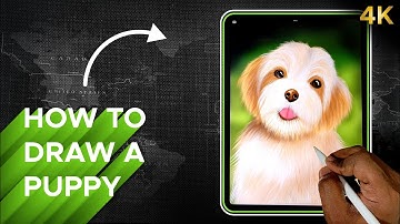 How to draw a Puppy | Procreate tutorial