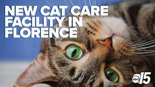 Lucky Dog Animal Rescue opens new cat care facility in Florence
