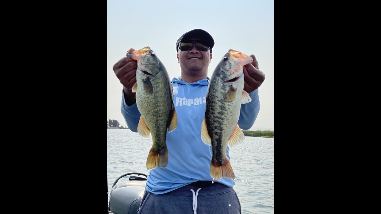 Fall Fishing for Striper and Largemouth Bass on the CA Delta Frank's Tract