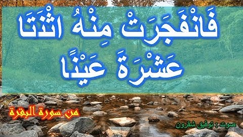 فانفجرت منه اثنتا عشرة عينا _ مكررة من سورة البقرة