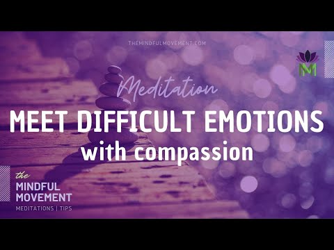 Video: Setkání Místo Vyhýbání Se (jak Se Vypořádat S „obtížnými“pocity)