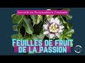 Feuilles de fruit de la passion comment les manger