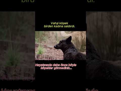 Vahşi Irk #film #movie #sinema #dizi #films #fragman#shorts