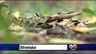 Will California Be Stuck In Drought For A Decade?