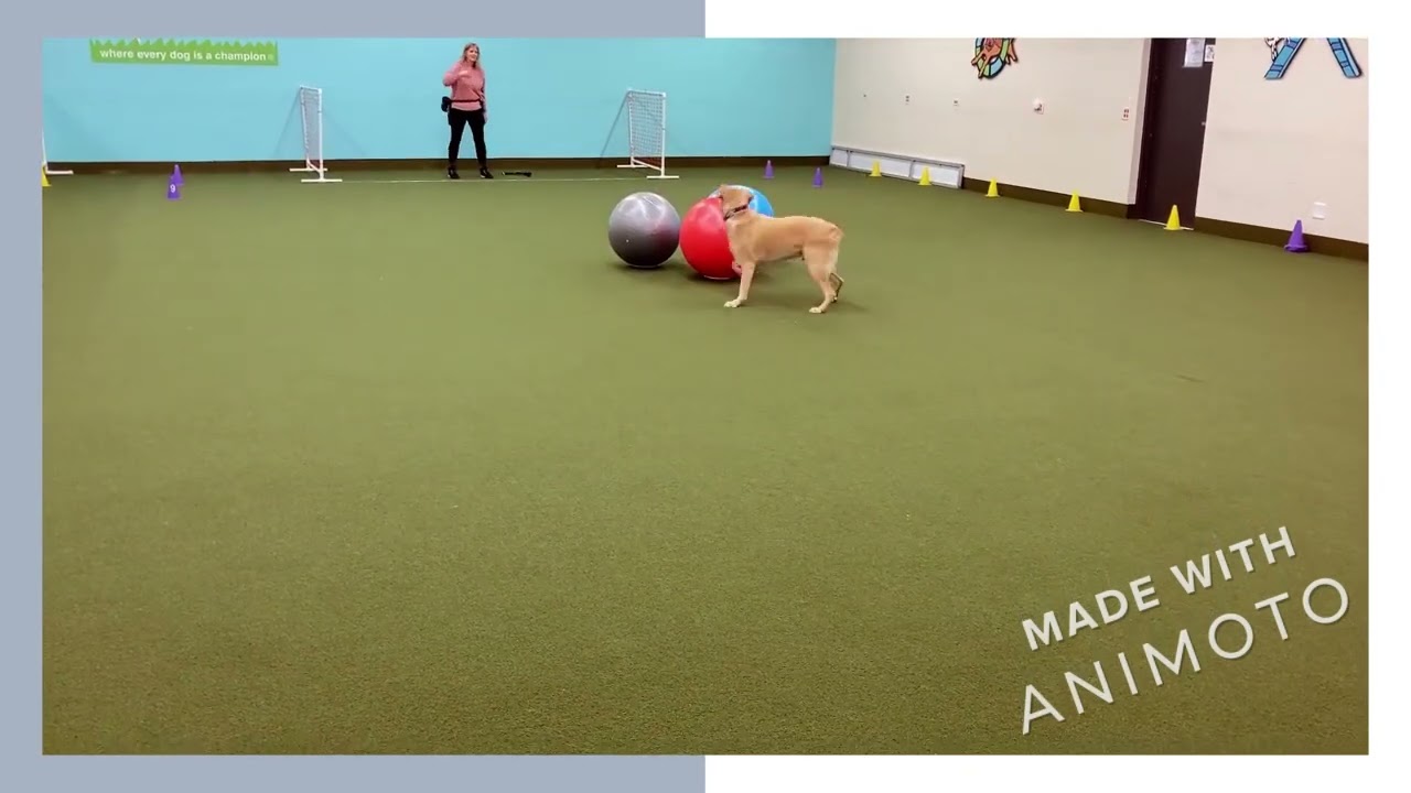 March 21, 2023, Calvin, Shirley Caruso, NATE Novice Standard