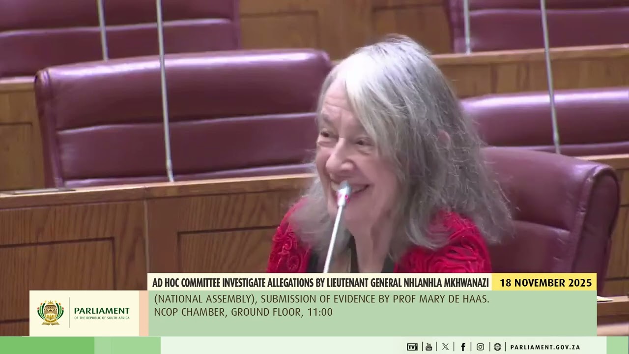 Prof De Haas says Skosana not having it. She does not belive Mkhwanazi and Khumalo are not credible.