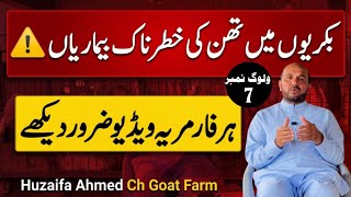 Udder & Teat Ke Diseases 🐐 | Goat Farming Complete Guide Huzaifa Ahmed Ch Goat Farm #bakripalan