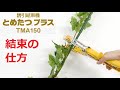 【ニチバン】とめたつ™プラス TMA150（結束の仕方）