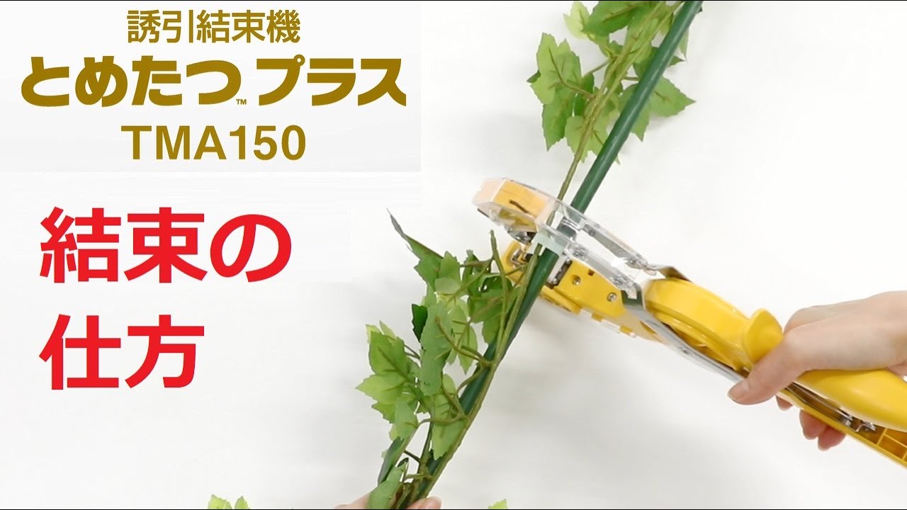 高級品市場 ニチバン とめたつプラス TMA150 針がいらない 誘引結束機 TMA100の後継機です zs