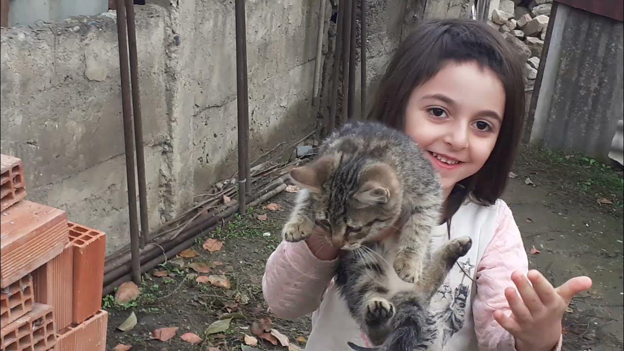 Котята зовут маму. Котенок плачет. Мама кошка зовет котят звук. Кошка зовет котят. Звук котенка зовущего маму слушать.