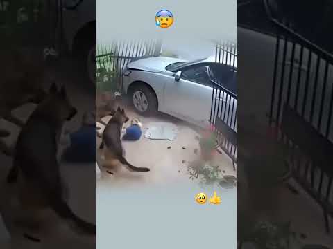 بين الهلاك يأتي لطف الله بالانسان     