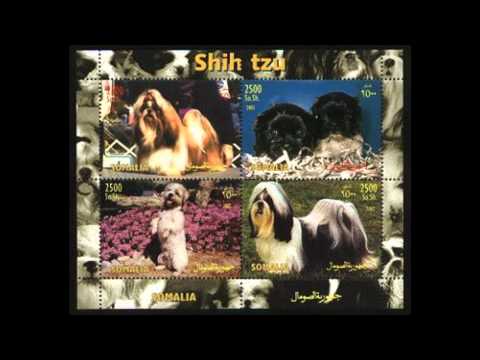 Cabdi Nuur Allaale Heestii Xaawo Aadan 