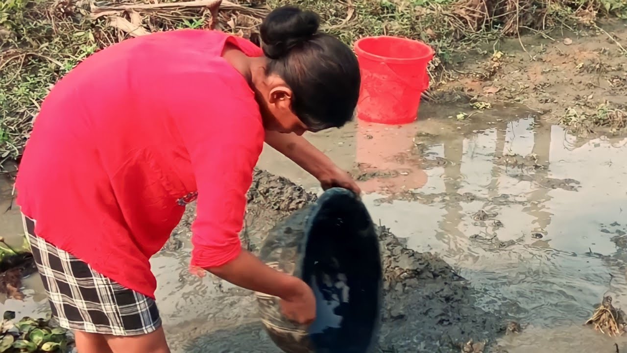 Amazing girl hand fishing video | Fishing catfish and comonkarf fish ...