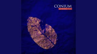 7 of 9