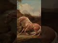 Wild and Magnificent