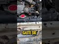 Gasté 100 $ cambiando 5 mangueras de la hilux. ¿Gaste mucho? ¿Gaste poco?