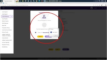 SBI CSP $$ fingerprint copture Failed Problem New kiosk banking update 
