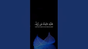 وقالوا لولا أنزل عليه آيات من ربه