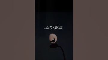 اكتب شيء تؤجر عليه 💙😴 / القارئ ياسر الدوسري