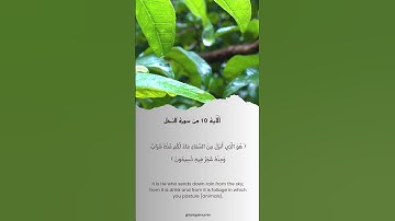الآية 10 من سورة النحل