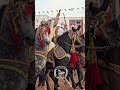 دار دنيا على دراهم مبني يا ويح لي لضحكلك بضحك الأسنان الفنتازيا أمير عبدالقادر وعادي الغرب دار دنيا على دراهم مبني يا ويح لي لضحكلك بضحك الأسنان الفنتازيا أمير عبدالقادر وعادي الغرب