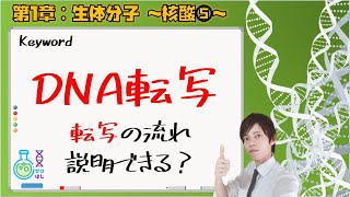 【大学 生化学】第１章：生体分子～核酸⑤～　DNA転写