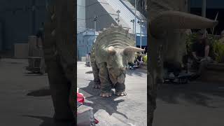 Live Dinosaur Show with Rostam, California, USA!