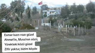 Şair Nurullah DEMİR \