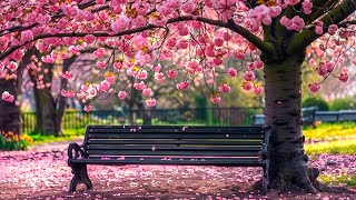 All your worries will disappear if you listen to this music🌿 Relaxing music calms your nerves #20 by Edna Life 5,971 views 13 days ago 3 hours, 29 minutes
