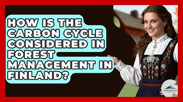 How Is The Carbon Cycle Considered In Forest Management In Finland? - Unmapping Scandinavia