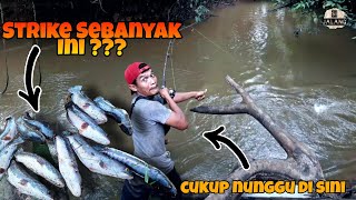 Beginilah Ketika Toman Lebih Galak Dari Pawangnya !!!