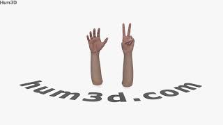 Female Hands Peace Gesture 3D model by 3DModels.org