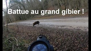 Battue au grand gibier au poste et dans la traque (sanglier, cerf, chevreuil)