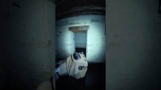 Stagnant Water & Hundreds of Mosquitoes in This 1943 Bunker! ⚠️ #urbex #bunker #exploration #exp