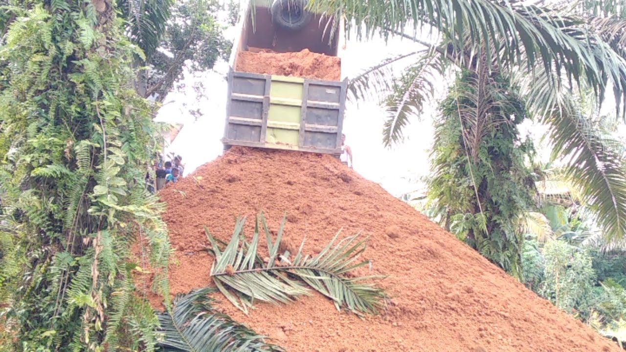 Exrtrim..!!! DumpTrucks Bongkar Tanah Timbun