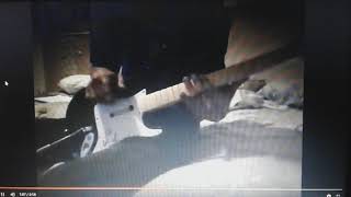 The Wiggles - Dorothy The Dinosaur (Bass Cover)