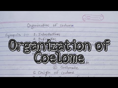 Organization And Definition of Coelome, Tyeps, Evolution theories    #msc2021 #mscnotes