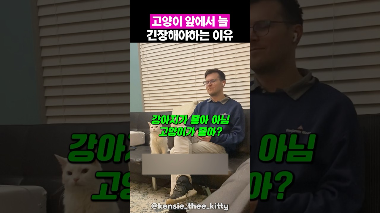 아빠좋아 냥이 앞에서 말 잘해야하는 이유